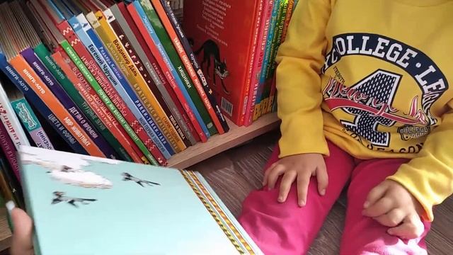 Разбираем книжные полочки! 📚 / Увозим часть книг бабушке. смотреть онлайн
