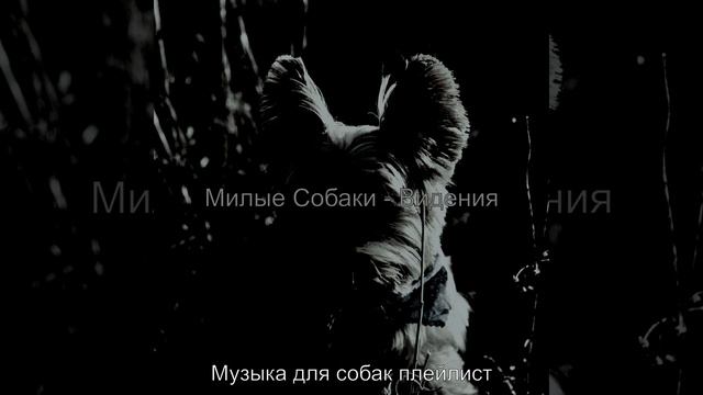 Настроения (Собаки) смотреть онлайн