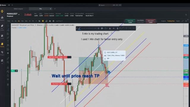 Example of PAAT System Trades - e-Currencies: MANA/USDT 22Mar2022 смотреть онлайн