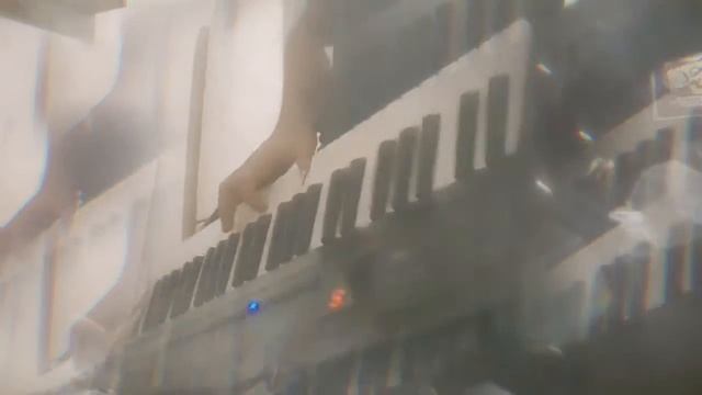 королёк птица певчая (COVER)