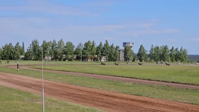 Отпустили немного жеребцов на волю | Провели скачки на приз памяти конезаводчика Хасана Идиятуллина смотреть онлайн