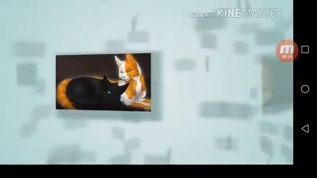 Пары котов воителей смотреть онлайн