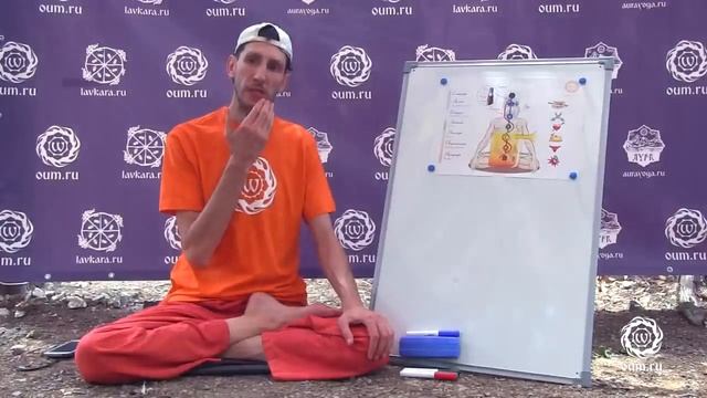 Телегония, карма, перевоплощение. Андрей Верба