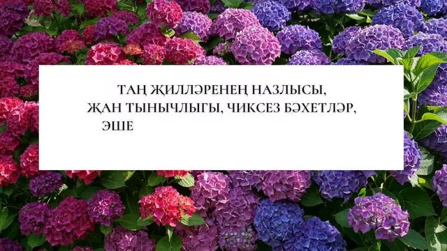 Алинә ханым, туган көнегез белән! смотреть онлайн