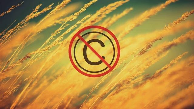 #copyright_say_no Major Lazer - Hold The Line (Zanin Trap Remix) смотреть онлайн