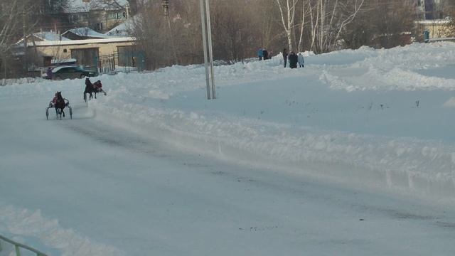 10.02.2019 г. 3-й заезд Кубок Коневладельцев 1-й этап смотреть онлайн
