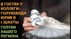🕊🕊🕊 В гостях у коллеги-голубевода Юрия в г.Шахты. Голуби нашего региона. Николаевские голуби.