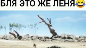 Тимон и Пумба жгут!!! -Это же Лёня!!!😂😂😂Прикол!!!