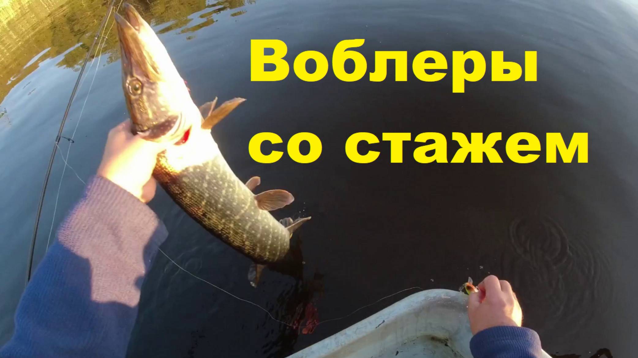 Воблеры со стажем смотреть онлайн