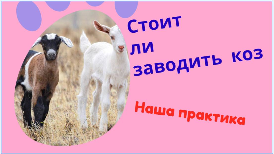 Стоит ли заводить коз смотреть онлайн