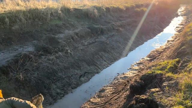 Ночью пришла Лиса с лисятами прямо на Ферму, но мы вовремя успели/ Продолжаем готовится к зиме смотреть онлайн