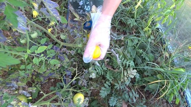 226. Приехала мама смотреть онлайн