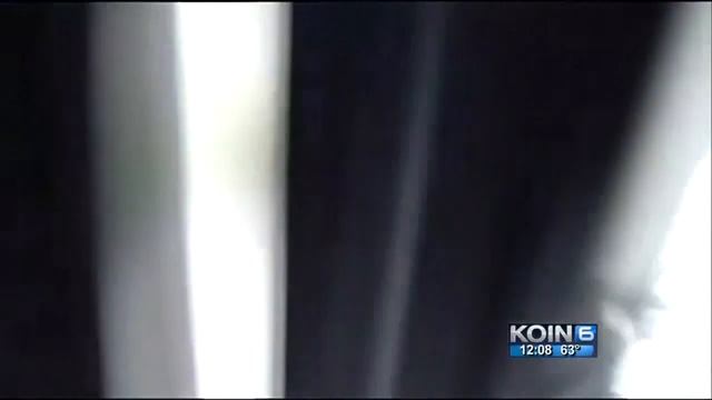 Red Cross, Portland Business Alliance plan for disaster смотреть онлайн