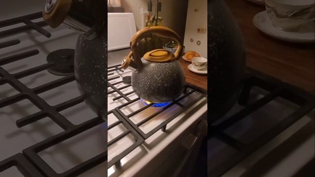 Using my NEW GORGEOUS Belken 2.7 quart Black Tea Kettle 🫖🫖 смотреть онлайн