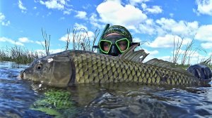 Красивая Подводная Охота. Трофей Взят.Подводная Охота в Татарстане