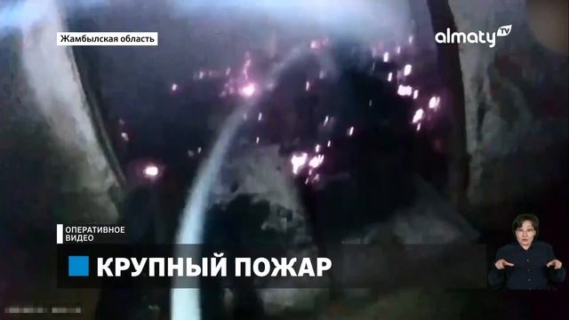 Короткое замыкание: в пожаре в Жамбылской области сгорело около 50 голов скота смотреть онлайн