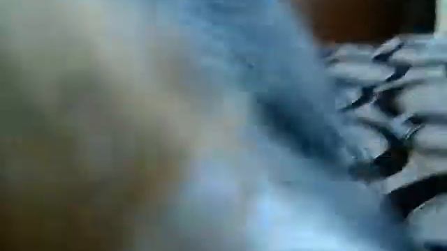 Привет моя собака