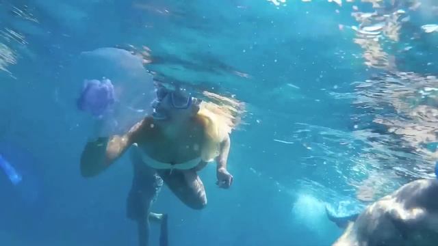 Hotel Jungle Aqua Park Resort, Hurghada, Ägypten, Egypt, Mahmya