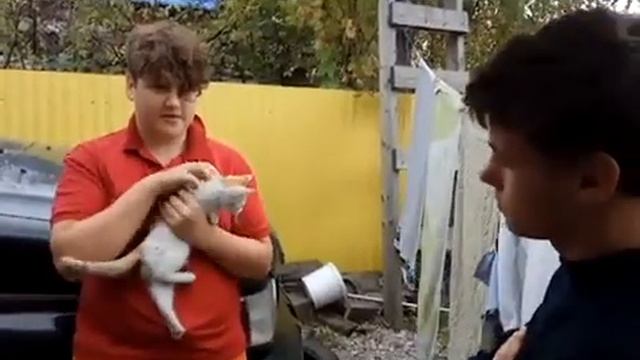 развлекательный фильм: моча смотреть онлайн