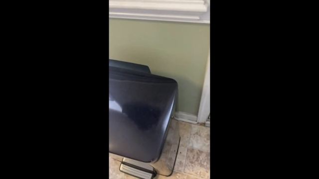 BISSELL CrossWave Floor and Area Rug Cleaner Review | Wet-Dry Vacuum смотреть онлайн