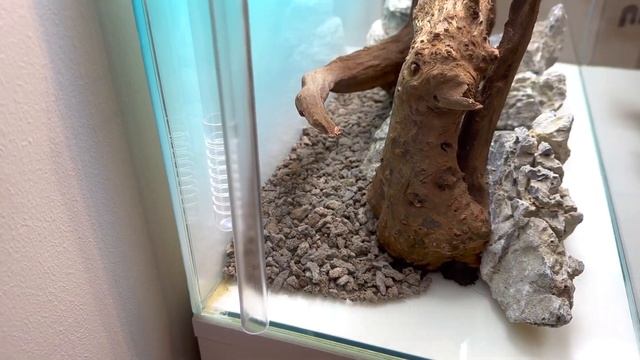 Aquael UltraScape 60 - Die Einrichtung beginnt смотреть онлайн