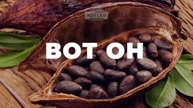 KOTLER Chocolate | НАСТОЯЩИЙ для НАСТОЯЩИХ