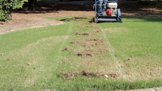 How to Dethatch a Lawn - Dethatching Tips смотреть онлайн