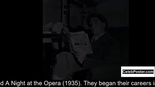 The Marx Brothers biography смотреть онлайн