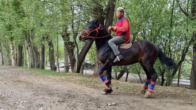 Улактын Аты менен Бышты Кыргыз-Атада +996 702 054 385🤝 смотреть онлайн