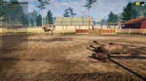 Лучшие игры с лошадьми