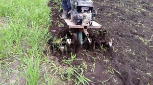 Как пашет переделанный мотокультиватор Крот в мотоблок.