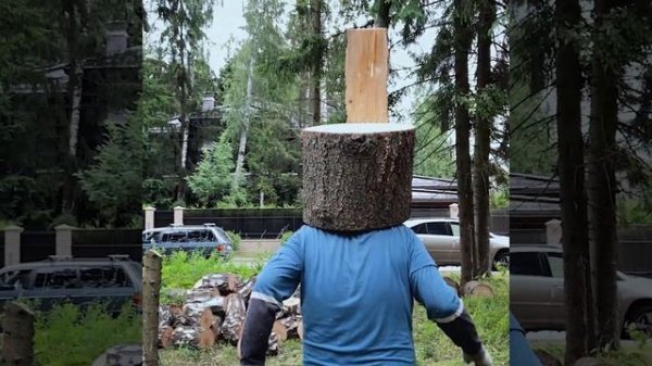 За один день 20соток леса? Легко! Работает Wolfa