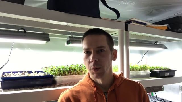 Microgreens regulations смотреть онлайн