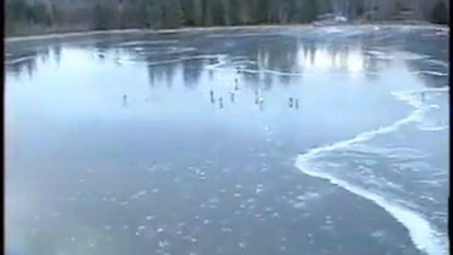 Terrace hockeyville business winner - Andrew Deans - Dec 24 2008 смотреть онлайн