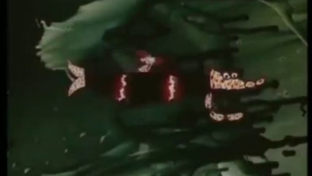 ПОЮ ПЕСНЮ РЫБЫ-ПИЛЫ ИЗ СОВЕТСКОГО МУЛЬТФИЛЬМА 