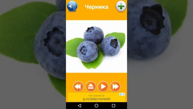 Обучающая игра смотреть онлайн