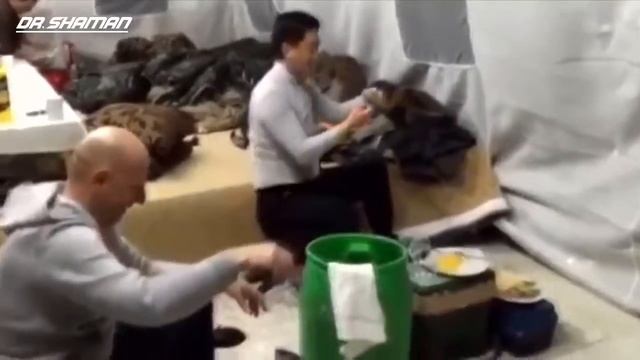Просто поржать смотреть онлайн