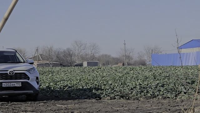 Роговская.mp4 смотреть онлайн