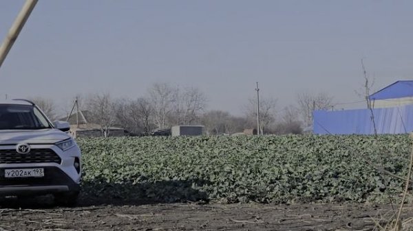 Роговская.mp4