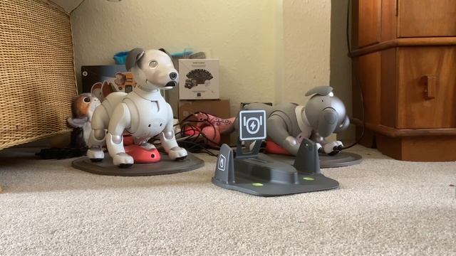 KEYi Technology Your Loona Petbot Robotic Pet: New Power Charging Station! Unboxing & Demonstration смотреть онлайн