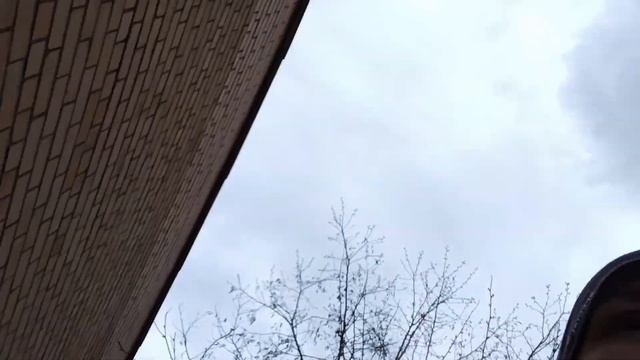 1 час с Тигруней. смотреть онлайн
