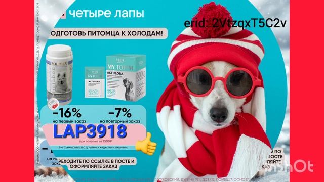#Четырелапы #скидки ССЫЛКА,ПРОМОКОД- В ОПИСАНИИ смотреть онлайн