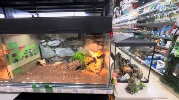 ИРКУТСК ❄️ Ярко Молл 🎉 Влог 💜