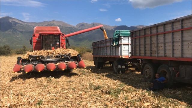 Laverda 296 LCS With Geringhoff