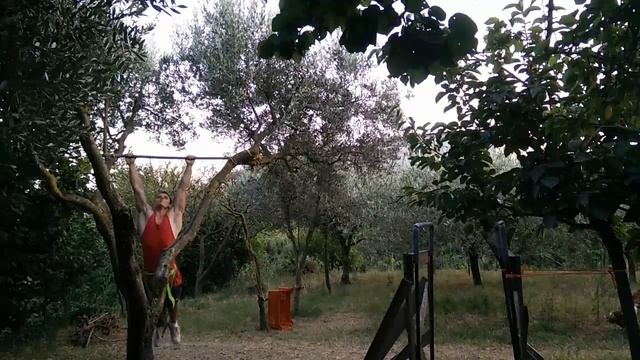129 PULLUPS +40 KG (PYRAMIDS) [09/08/16] смотреть онлайн