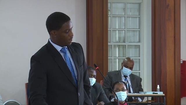 National Budget Debate 2020-2021 смотреть онлайн