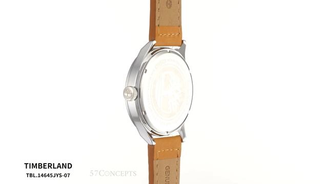 Timberland TBL.14645JYS/07 Blake • Zegarek Męski