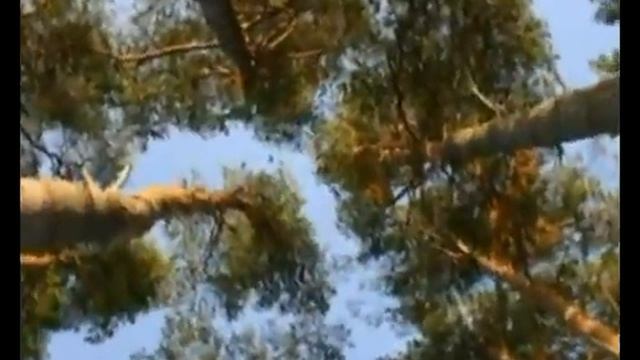 Рига РКИИГА