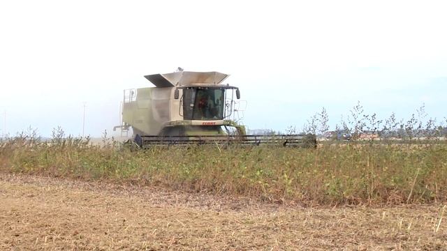 CLAAS LEXION GENERAZIONI 480-580-770-780 NELLA RACCOLTA SOIA CON BARRE XXL смотреть онлайн