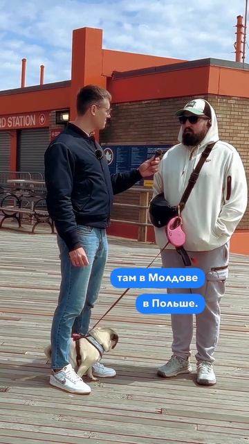 1,5 года в США: американцы ЛИЦЕМЕРНЫ, но это нормально! #переездвсша #жизньвсша #иммиграция #сша смотреть онлайн